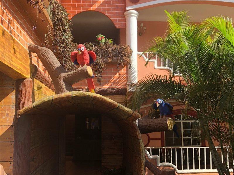 Hotel Residencia Del Sol Città del Guatemala Esterno foto
